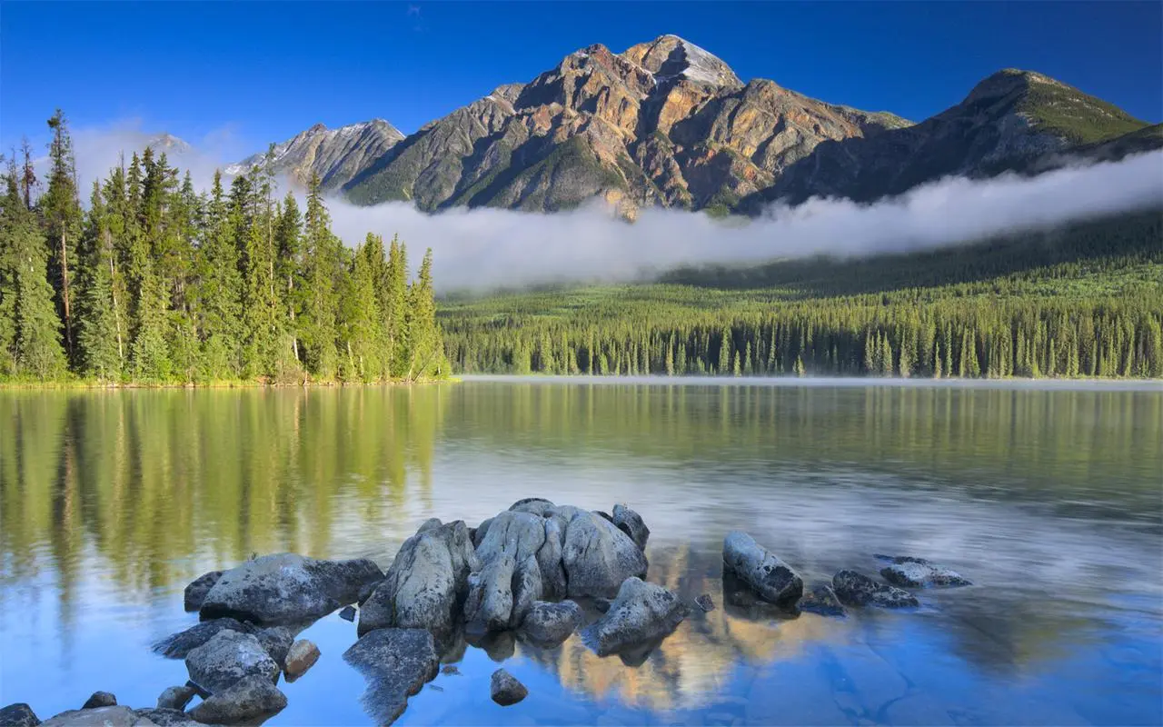 创新全自动稳定性